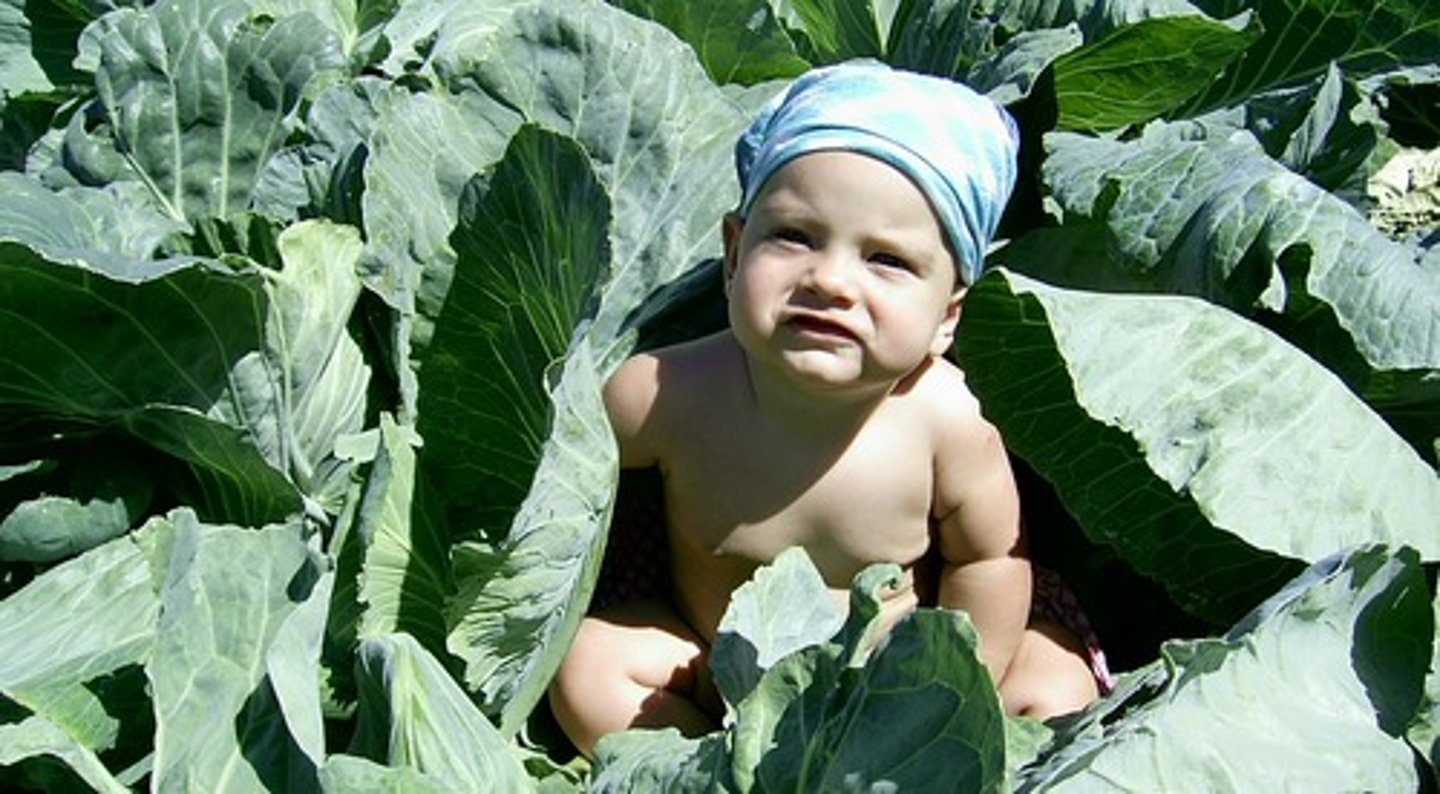 <p>походити з</p>