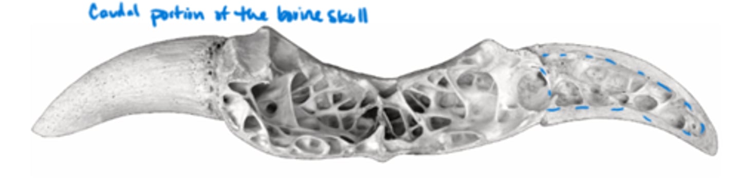 <p>What is outlined in blue? (hint would be under the part on the left side too if it was opened up)</p>