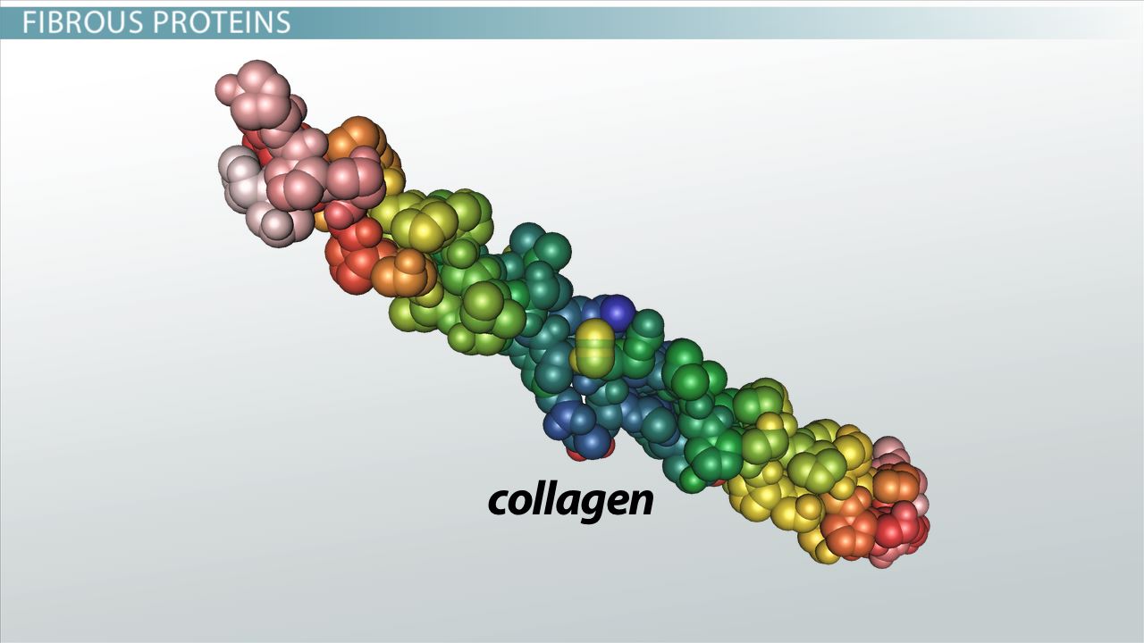 <p>glycoproteins + polysaccharides</p>