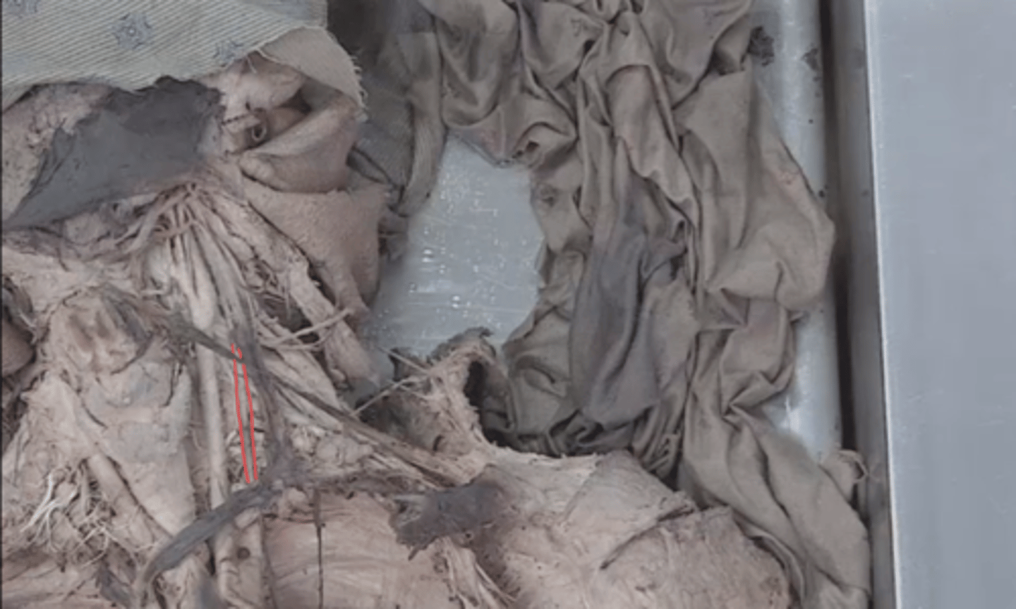 <p>identify this structure</p>