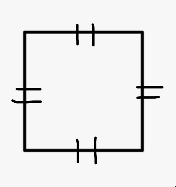 <p>Square </p>