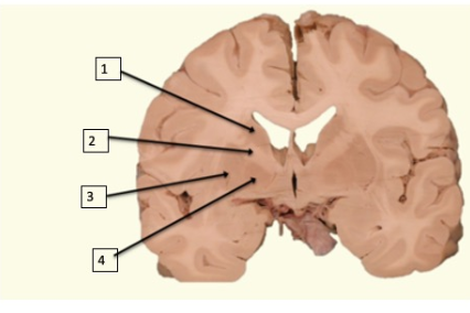 <p>1</p>
