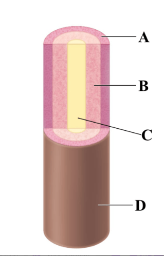 <p>What is B?</p>