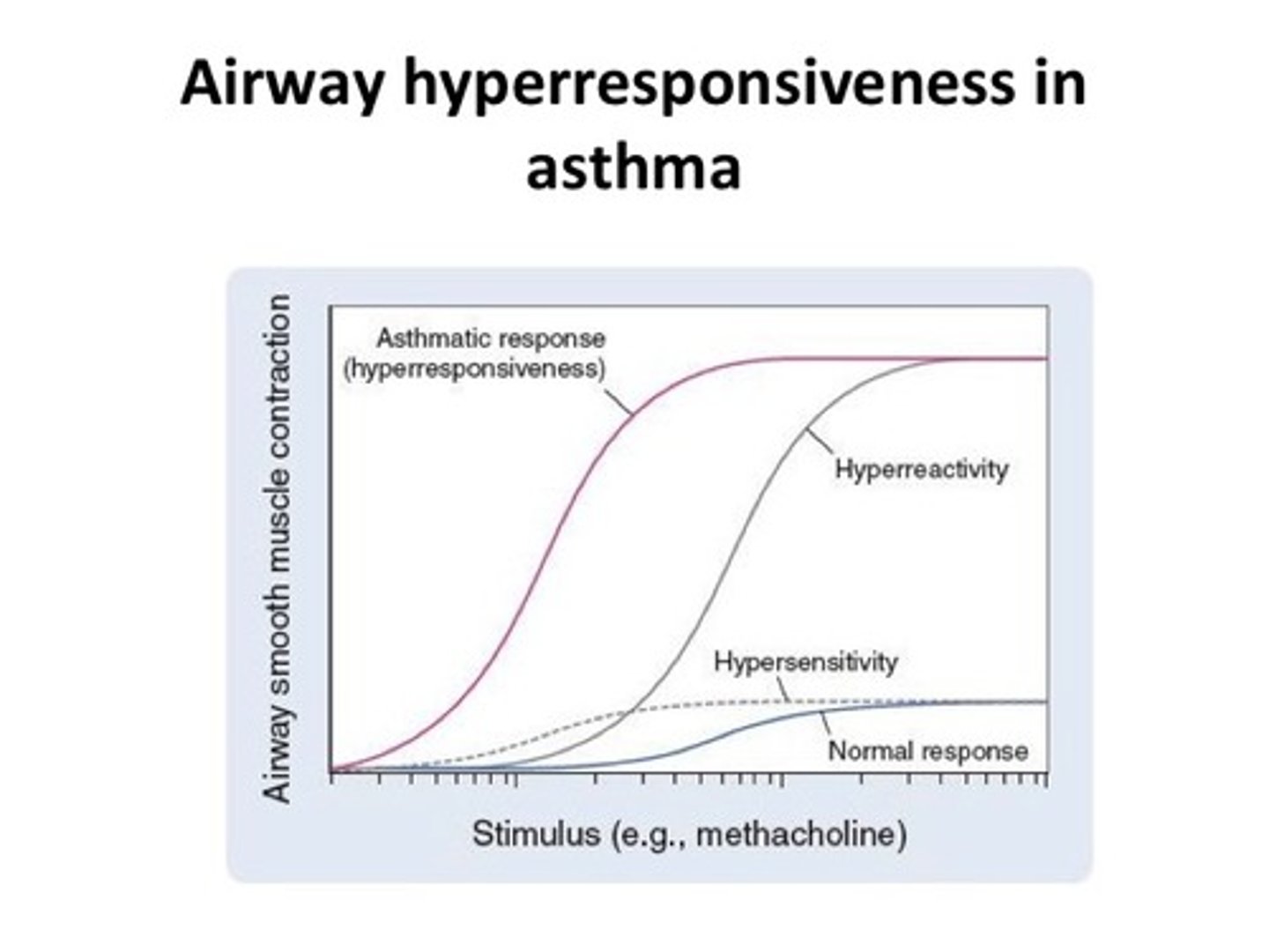 <p>In someone who has asthma, if we give a bronchoconstrictor (e.g. histamine) then they will have more bronchoconstriction compared to a healthy individual.</p><p>Less of the agent (bronchoconstrictor) is required for bronchoconstriction to be caused in asthmatic patients.</p>