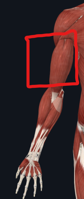 <p></p>