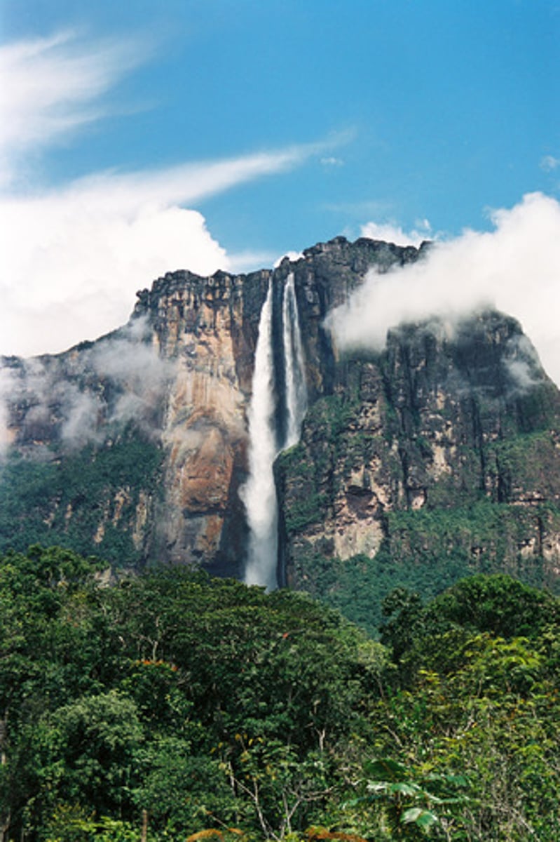<p>narrow channels of water, often beginning in mountainous areas, where water (from melting glaciers) moves rapidly across rocks and down waterfalls</p>