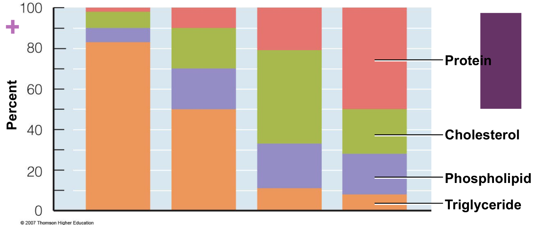 <p>Chylomicrons contain so little protein and so much triglyceride</p><ul><li><p>  they are the lowest in density for lipoproteins </p></li></ul><p></p>