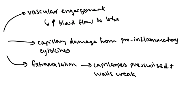 <p>Lung tissue has compliance and inflammation disturbs this and this therefore leads to shearing effect which damages the lining to cause haemorrhage. </p>
