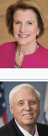 <p></p>