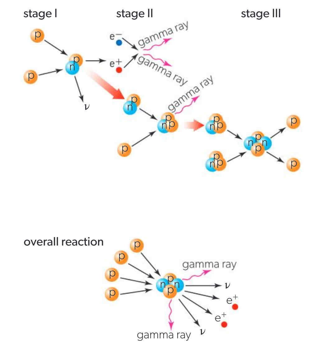 <p>4 hydrogen nuclei fuse to give one helium atom until no hydrogen remains uncovered) in small mass stars, happens at high temperatures</p>