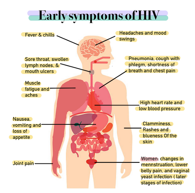 <ul><li><p>Fever and headaches</p></li><li><p>weight loss</p></li><li><p>diarrhea</p></li><li><p>swollen lymph nodes </p></li></ul><p>AIDS occurs at the highest level</p>