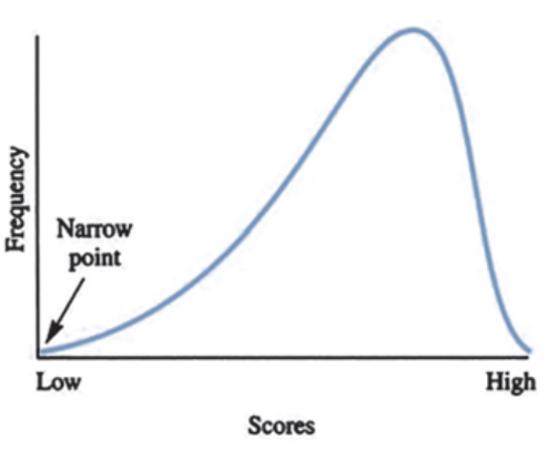 <p>negative skew </p>