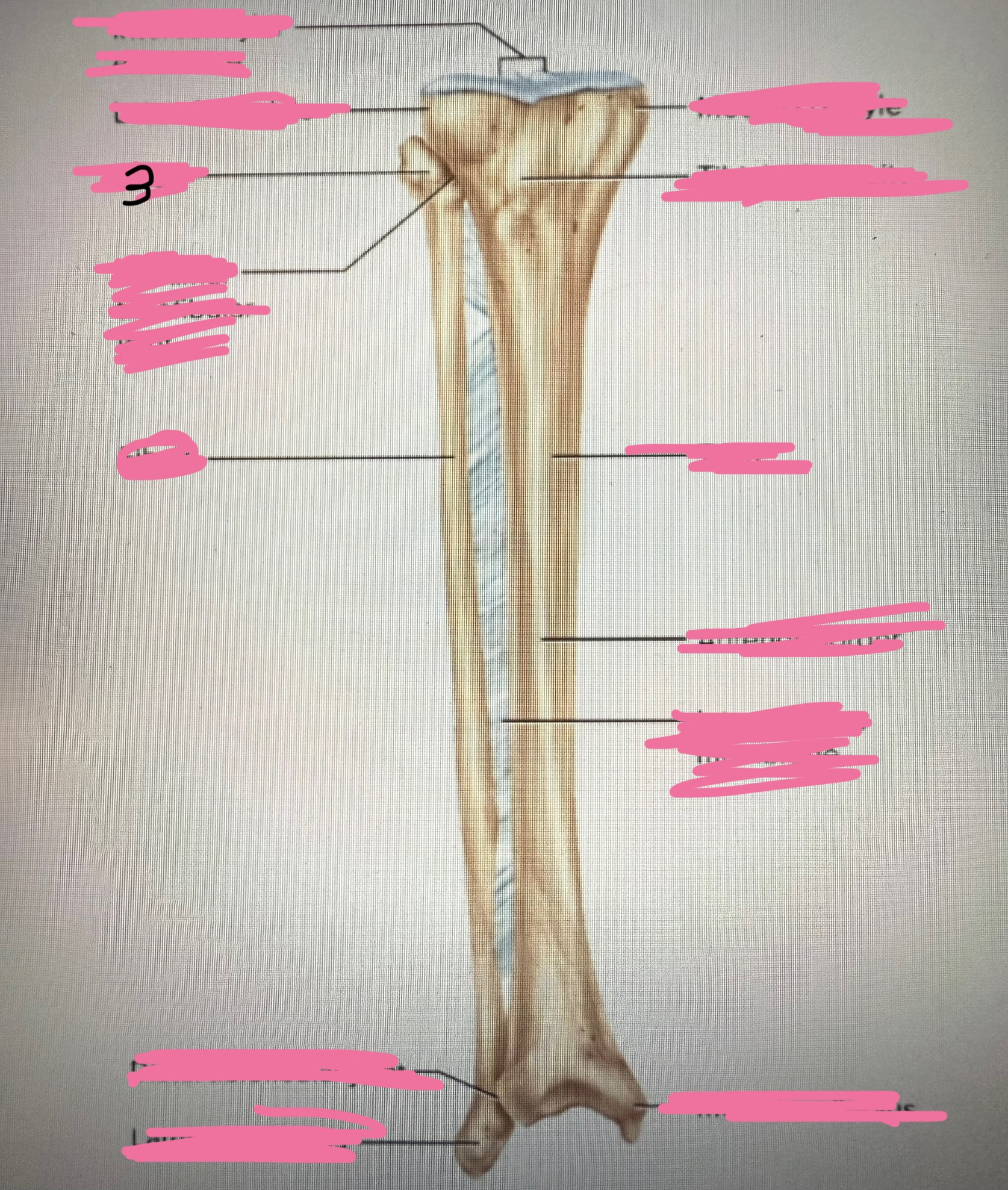 <p>3</p>