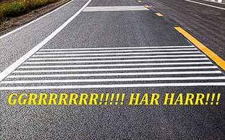 <p>Rumble Strips</p>