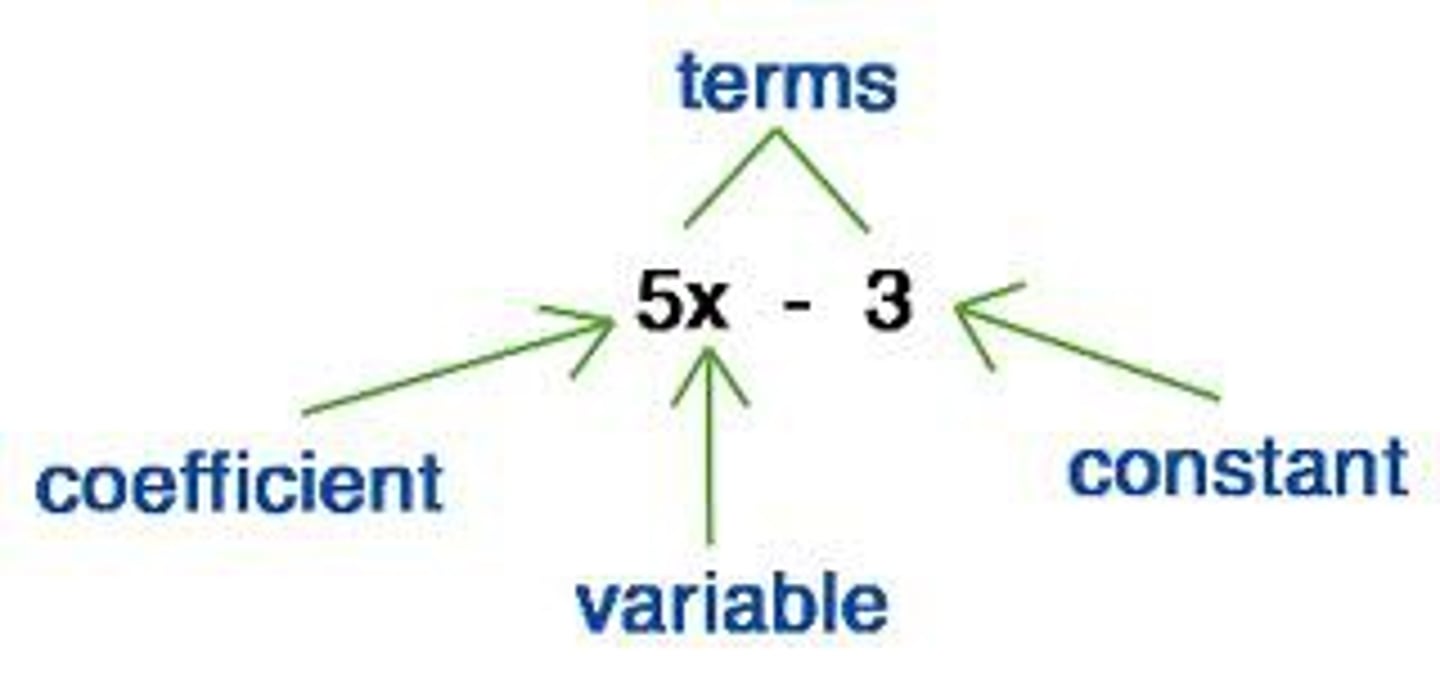 <p>The number in front of the variable</p>