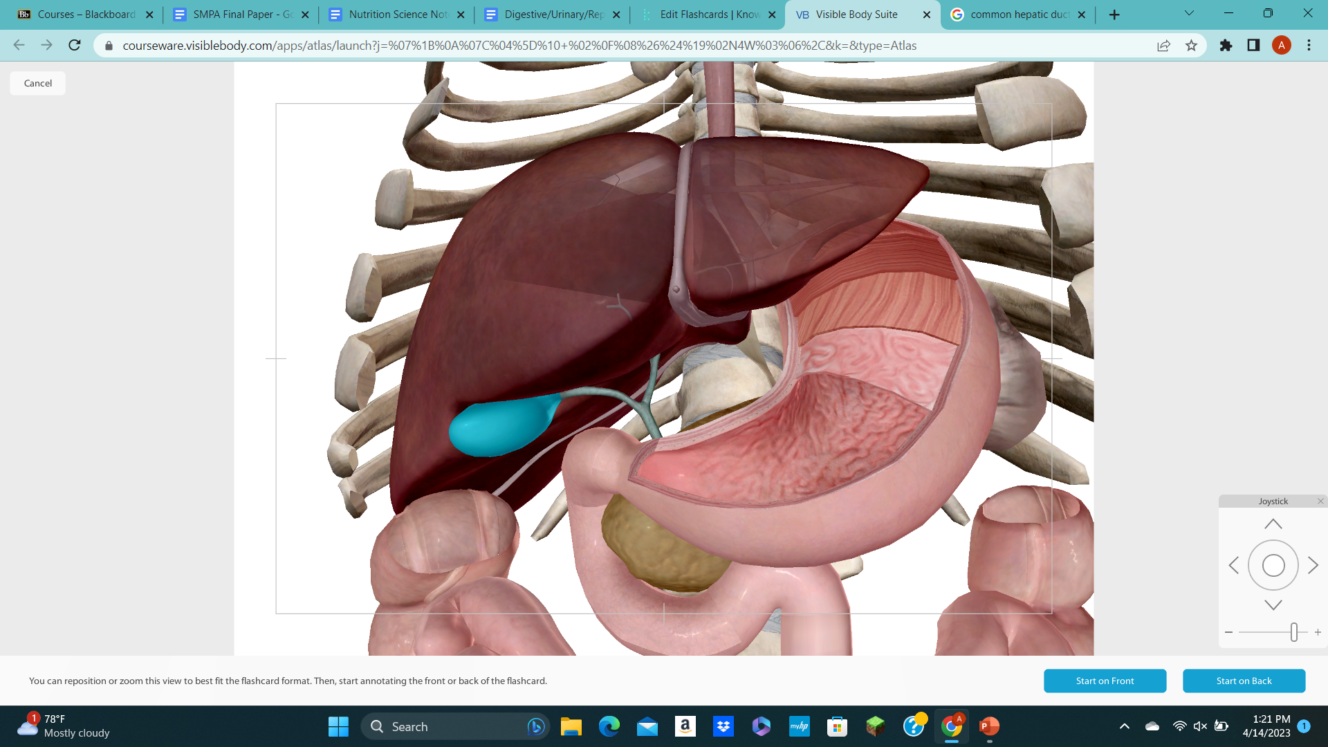 knowt flashcard image