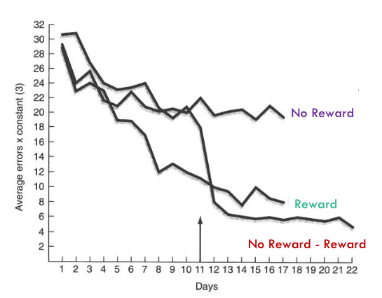 <p>Rats exploring maze - 3 groups </p><p>No reward group - Received no reward for finding the end of the maze</p><p>Reward - Received food reward for finding the end of the maze</p><p>No Reward → reward - Received no reward for the 1st 10 days, then were rewarded </p><p>No reward → reward rats developed a cognitive map through latent learning</p>