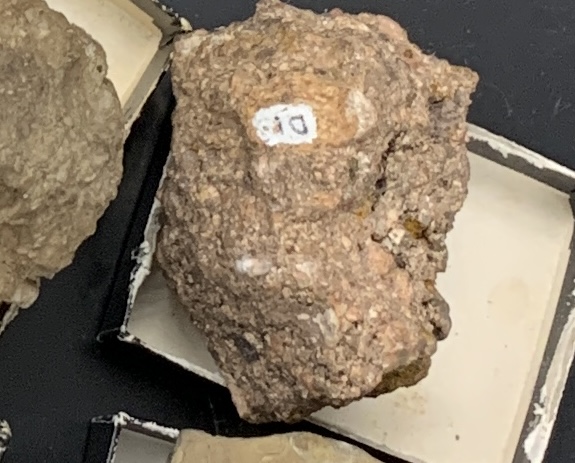 <p>D1</p>