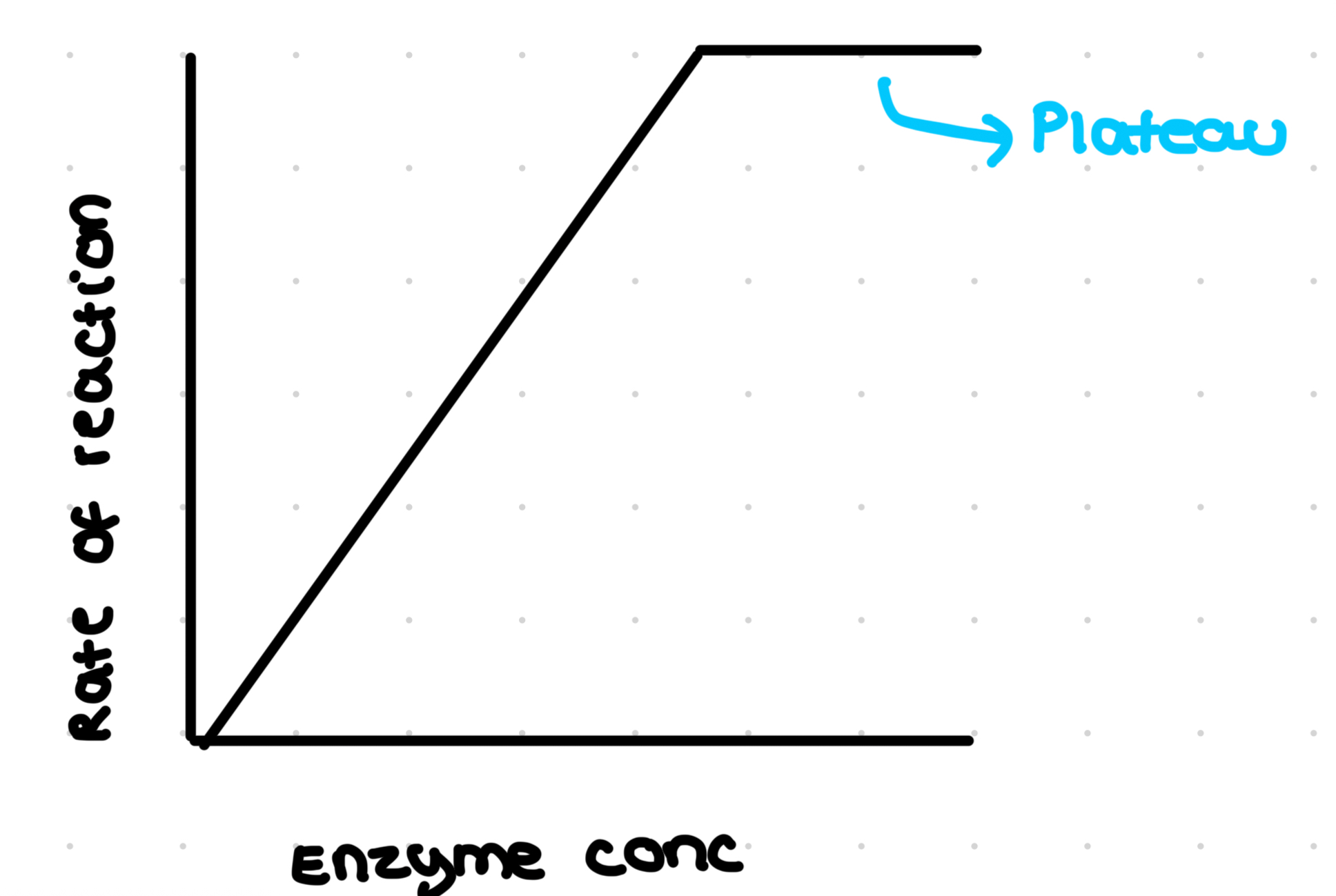 <ul><li><p>Rate plateaus is sub conc is fixed- sub conc is the limiting factor</p></li><li><p>Linear relationship- directly proportional- as one increases, so does the other- enzyme conc is limiting factor</p></li><li><p>As enz conc increases, more available active sites to catalyse reaction, so rate of reaction increases</p></li></ul>