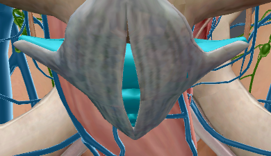 <p>Amount: 4 fused</p>