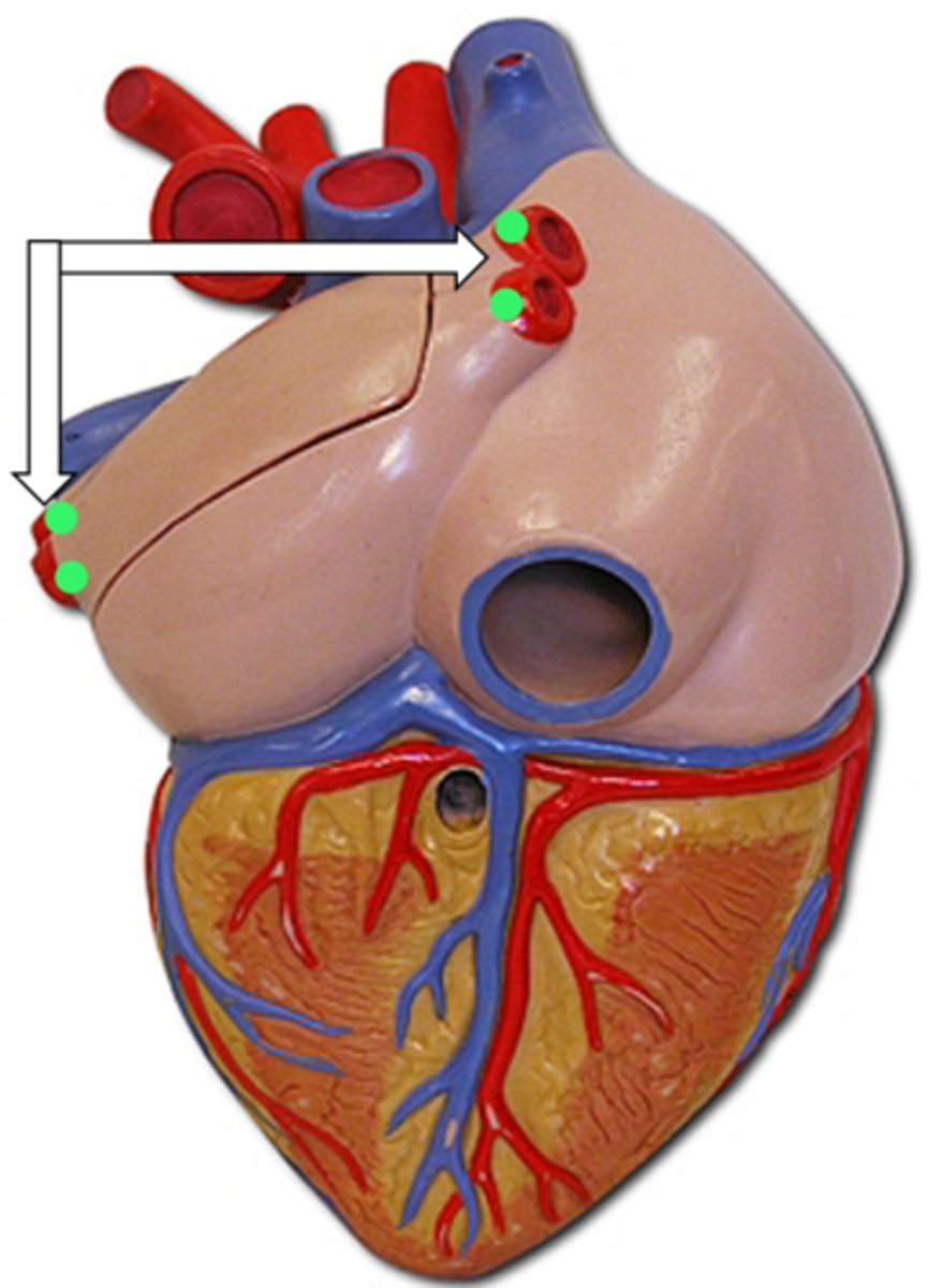 <p>name the structure</p>