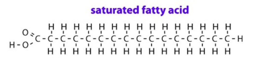 <p>saturated fats</p>