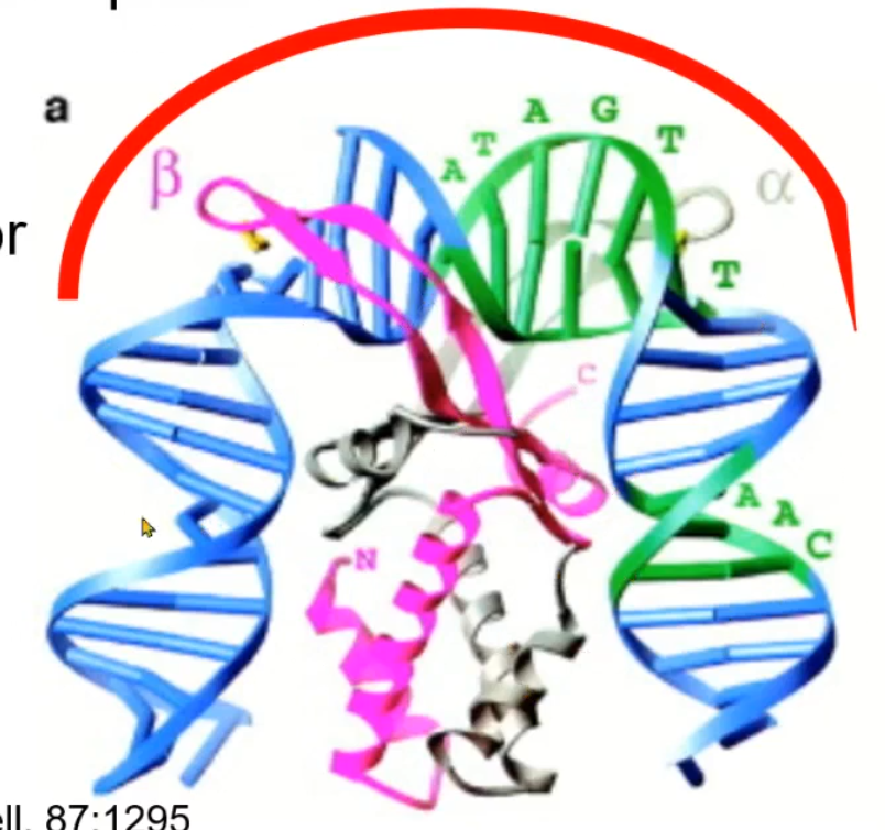 <p>what does this represent?</p>