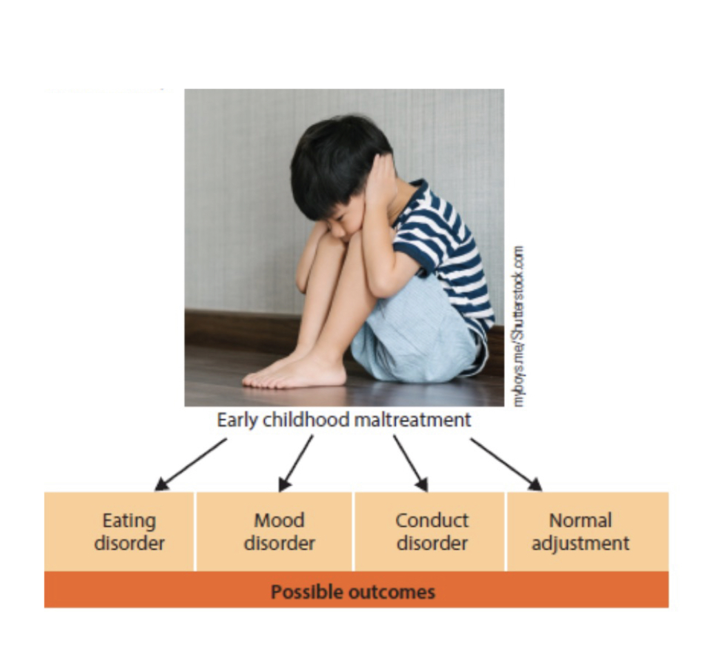 <p>diverse clinical disorders may reflect many common risk factors</p><p>various outcomes may stem from similar beginnings (in this case, child maltreatment)</p><ul><li><p>one factor thing leads to multiple things </p></li></ul>