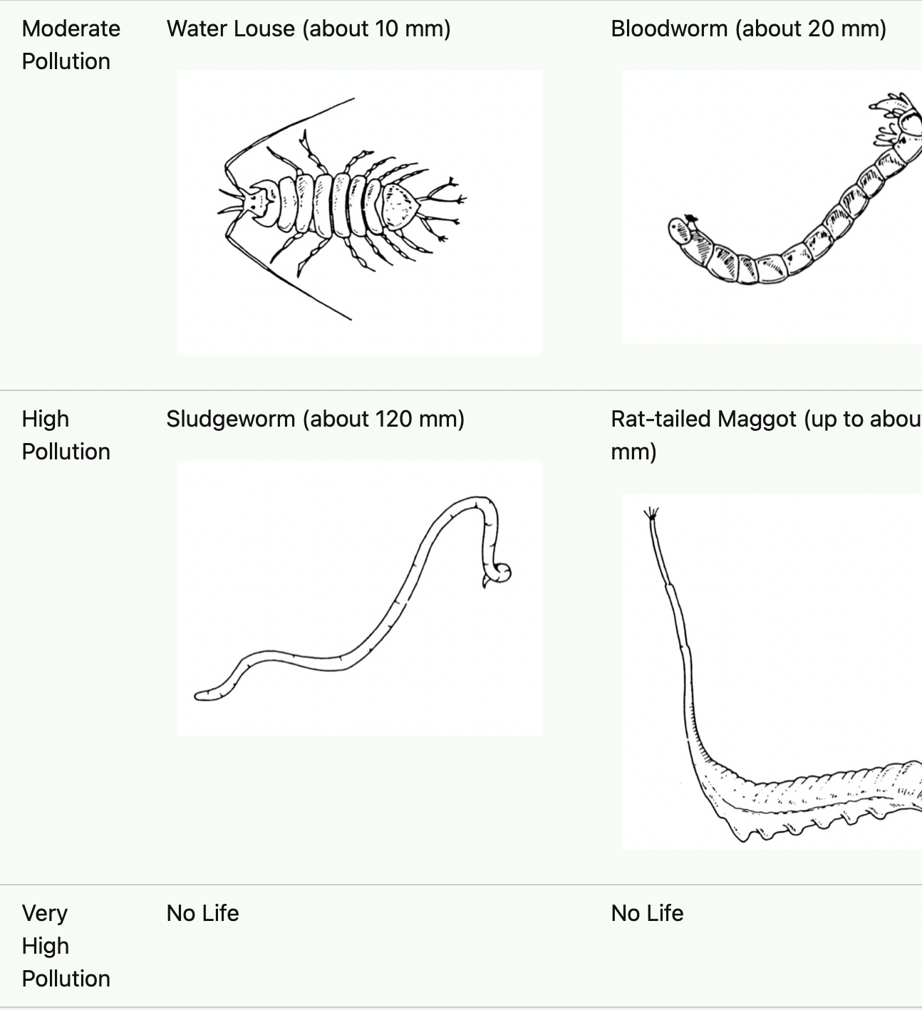 <p>The species that are sensitive to pollutants or adapted to polluted waters. They can be used to indicate the pollution level of water bodies. </p>