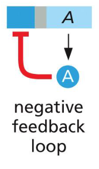 <p>more A turns off itself</p>