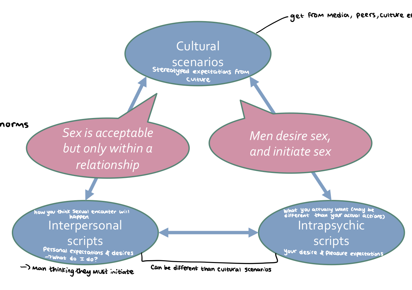 sexuality & sexual behaviour determined by stereotyped patterns of sexual expectations