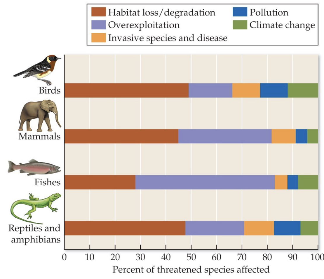 <ul><li><p>Habitat loss / degradation</p></li><li><p>Overexploitation</p></li><li><p>Invasive species and disease</p></li><li><p>Pollution</p></li><li><p>Climate change</p></li></ul><p></p>