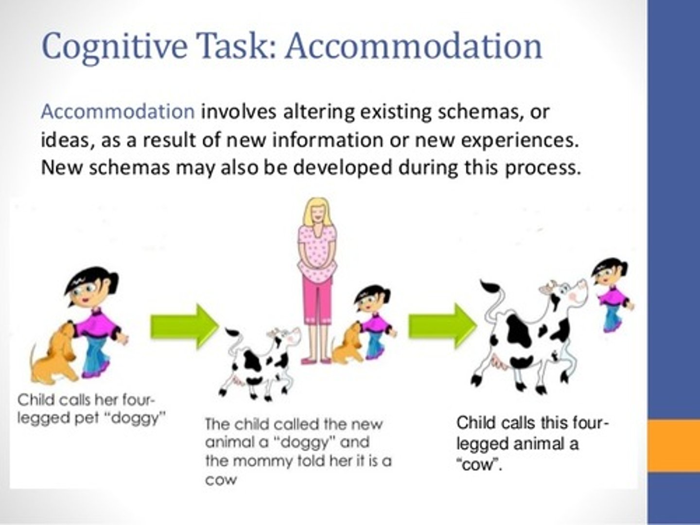 <p>True. An example of accommodation would be introducing a foreigner to darts as a competitive sport, and the foreigner altering their Schema related to sports to accommodate this new idea.</p>