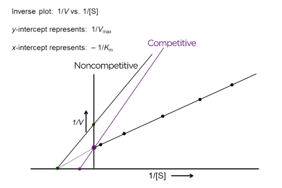 <p>V max decreases = y-intercept is further from zero</p><p>Km constant = x- intercept is constant</p>