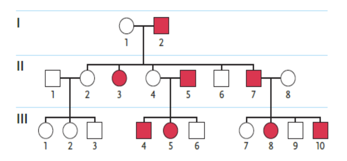 <p><span style="background-color: transparent; font-family: "Times New Roman", serif;"><span>78. Examine the pedigree in the accompanying figure. Individuals affected by the genetic condition in question are indicated by filled squares or circles. Which inheritance pattern is most likely correct for this condition in this family?</span></span></p><table style="min-width: 75px;"><colgroup><col style="min-width: 25px;"><col style="min-width: 25px;"><col style="min-width: 25px;"></colgroup><tbody><tr><td colspan="1" rowspan="1" style="vertical-align: top; overflow: hidden; overflow-wrap: break-word;"><p><span style="background-color: transparent;"><span> </span></span></p></td><td colspan="1" rowspan="1" style="vertical-align: top; padding: 1.5pt 0pt; overflow: hidden; overflow-wrap: break-word;"><p><span style="background-color: transparent; font-family: "Times New Roman", serif;"><span>a. </span></span></p></td><td colspan="1" rowspan="1" style="vertical-align: top; padding: 1.5pt 20pt 1.5pt 0pt; overflow: hidden; overflow-wrap: break-word;"><p><span style="background-color: transparent; font-family: "Times New Roman", serif;"><span>autosomal dominant</span></span></p></td></tr><tr><td colspan="1" rowspan="1" style="vertical-align: top; overflow: hidden; overflow-wrap: break-word;"><p><span style="background-color: transparent;"><span> </span></span></p></td><td colspan="1" rowspan="1" style="vertical-align: top; padding: 1.5pt 0pt; overflow: hidden; overflow-wrap: break-word;"><p><span style="background-color: transparent; font-family: "Times New Roman", serif;"><span>b. </span></span></p></td><td colspan="1" rowspan="1" style="vertical-align: top; padding: 1.5pt 20pt 1.5pt 0pt; overflow: hidden; overflow-wrap: break-word;"><p><span style="background-color: transparent; font-family: "Times New Roman", serif;"><span>X-linked recessive</span></span></p></td></tr><tr><td colspan="1" rowspan="1" style="vertical-align: top; overflow: hidden; overflow-wrap: break-word;"><p><span style="background-color: transparent;"><span> </span></span></p></td><td colspan="1" rowspan="1" style="vertical-align: top; padding: 1.5pt 0pt; overflow: hidden; overflow-wrap: break-word;"><p><span style="background-color: transparent; font-family: "Times New Roman", serif;"><span>c. </span></span></p></td><td colspan="1" rowspan="1" style="vertical-align: top; padding: 1.5pt 20pt 1.5pt 0pt; overflow: hidden; overflow-wrap: break-word;"><p><span style="background-color: transparent; font-family: "Times New Roman", serif;"><span>X-linked dominant</span></span></p></td></tr><tr><td colspan="1" rowspan="1" style="vertical-align: top; overflow: hidden; overflow-wrap: break-word;"><p><span style="background-color: transparent;"><span> </span></span></p></td><td colspan="1" rowspan="1" style="vertical-align: top; padding: 1.5pt 0pt; overflow: hidden; overflow-wrap: break-word;"><p><span style="background-color: transparent; font-family: "Times New Roman", serif;"><span>d. </span></span></p></td><td colspan="1" rowspan="1" style="vertical-align: top; padding: 1.5pt 20pt 1.5pt 0pt; overflow: hidden; overflow-wrap: break-word;"><p><span style="background-color: transparent; font-family: "Times New Roman", serif;"><span>cytoplasmic inheritance</span></span></p></td></tr><tr><td colspan="1" rowspan="1" style="vertical-align: top; overflow: hidden; overflow-wrap: break-word;"><p><span style="background-color: transparent;"><span> </span></span></p></td><td colspan="1" rowspan="1" style="vertical-align: top; padding: 1.5pt 0pt; overflow: hidden; overflow-wrap: break-word;"><p><span style="background-color: transparent; font-family: "Times New Roman", serif;"><span>e. </span></span></p></td><td colspan="1" rowspan="1" style="vertical-align: top; padding: 1.5pt 20pt 1.5pt 0pt; overflow: hidden; overflow-wrap: break-word;"><p><span style="background-color: transparent; font-family: "Times New Roman", serif;"><span>autosomal recessive</span></span></p></td></tr></tbody></table><p></p>