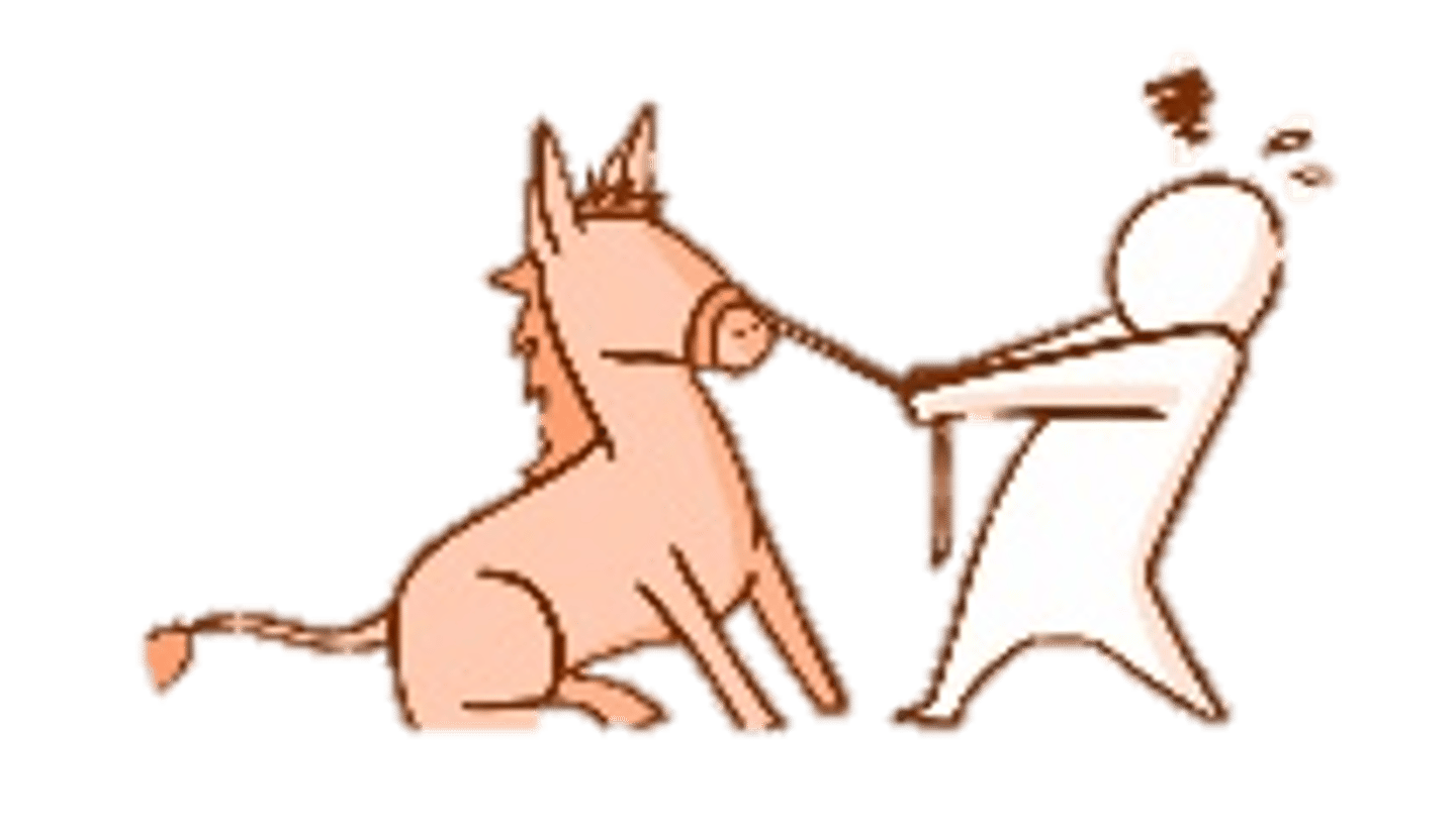 <p>stubbornness, obstinacy</p>