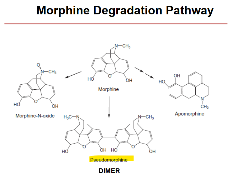 <p>the dimer will not metabolize and therefore stay in the body, leading to increased toxicity</p>