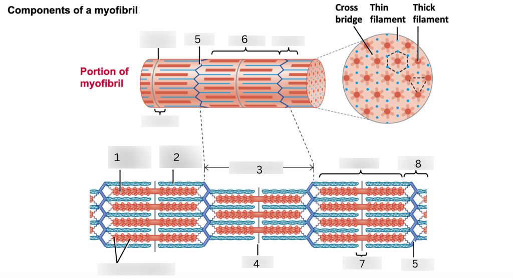 <p>4</p>