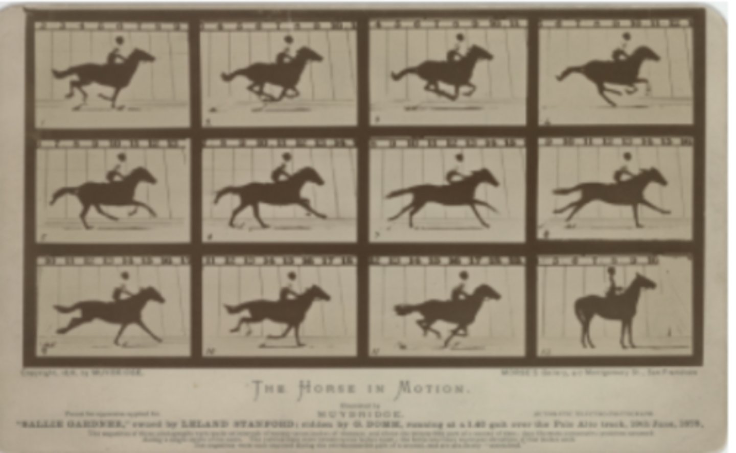 <p>1878 C.E. Albumen print</p><p>Muybridge spent the rest of his career improving his technique, making a huge variety of motion studies, lecturing, and publishing. As a result of his motion studies, he is regarded as one of the fathers of the motion picture. Muybridge's motion studies showed the way to a new art form.</p>