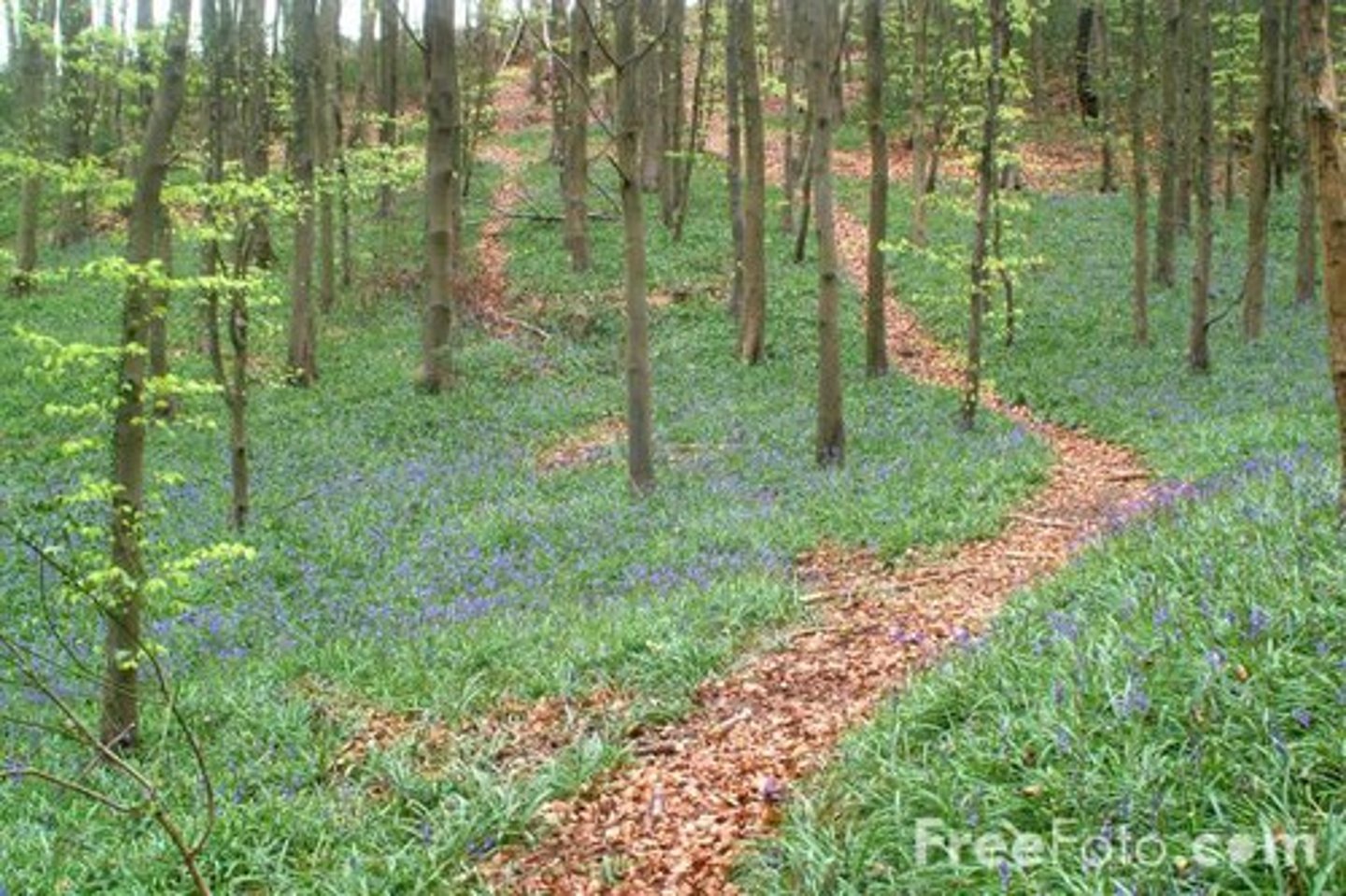 <p>Allows walkers to visit area but keeping to designated areas prevents trampling of vegetation or disturbance of ground nesting birds</p>