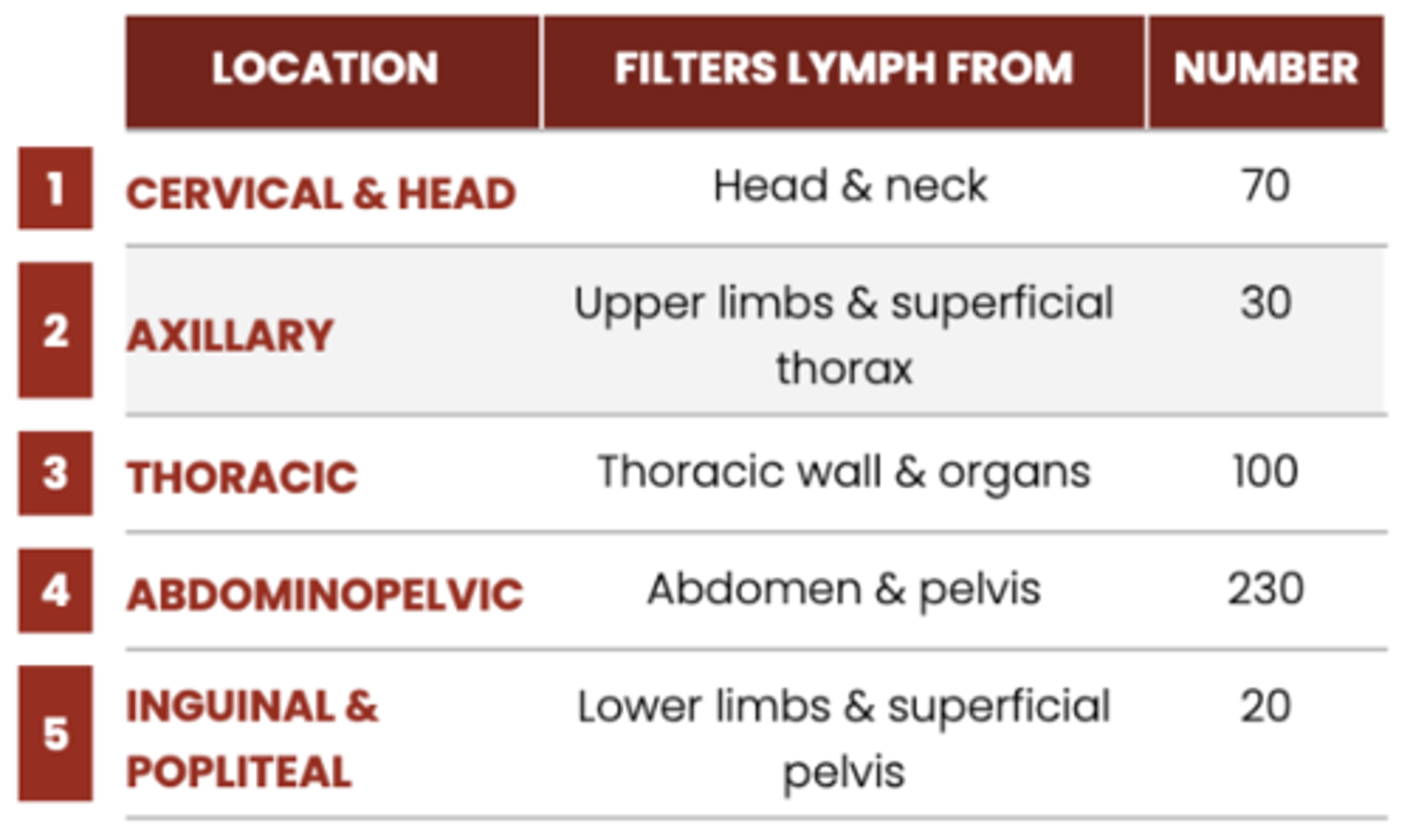 <p>INFORMATION</p><p>type "dafuq" when answring</p><p>number of lymph nodes </p>