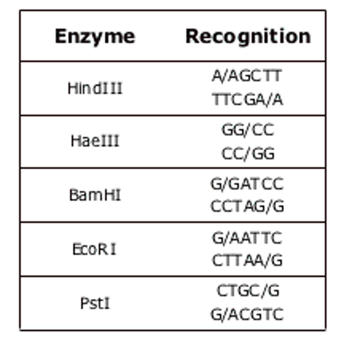 <p>restriction endonucleases</p>