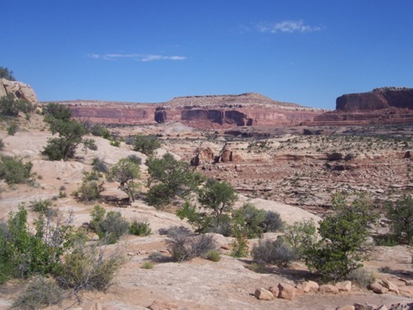 <p>Utah</p>