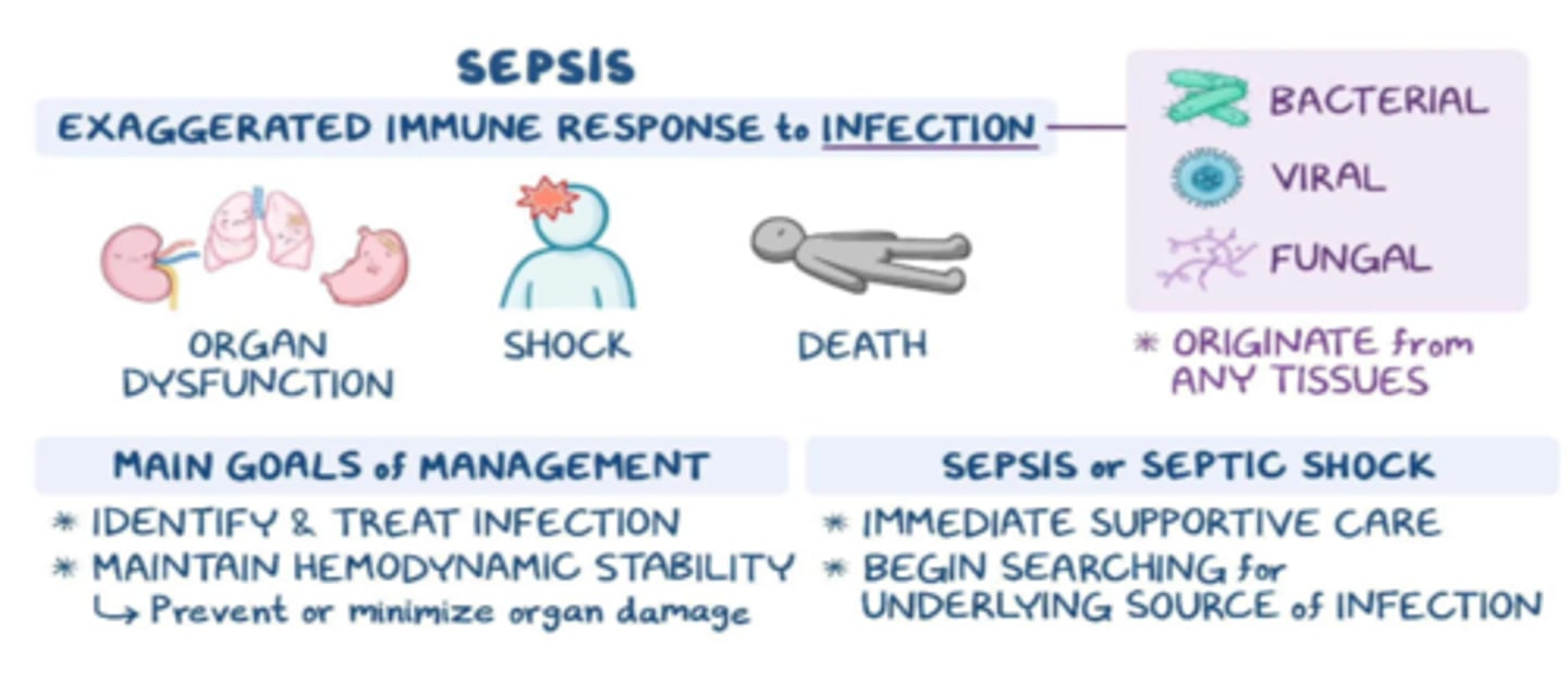 <p>- exaggerated immune response to infection</p><p>- 'presence of ongoing hypotension &amp; acidosis in a septic patient'</p><p>- hypotension persists despite IV fluids &amp; vasopressors</p><p>- less perfusion &amp; oxygen to tissues, anaerobic respiration produces: lactic acid &amp; serum lactate, causing acidosis (serum lactate > 2)</p>