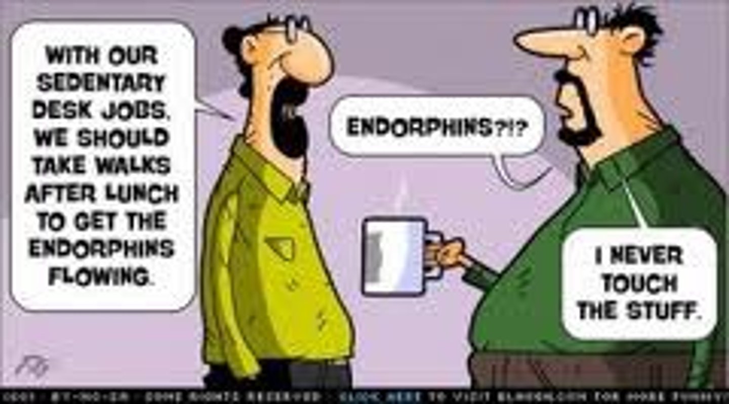 <p>opioid binds to Gi GPCR μ-receptor → inhibits adenylyl cyclase:</p><p>presynaptic: closes voltage-gated Ca²⁺ channels → ↓ release of neurotransmitters (substance P, glutamate) → ↓ pain signal transmission</p><p>postsynaptic: opens K⁺ efflux channels → hyperpolarization → ↓ neuronal excitability</p><p>naturally occurring opioids: endorphins, dynorphins, enkephalins</p>