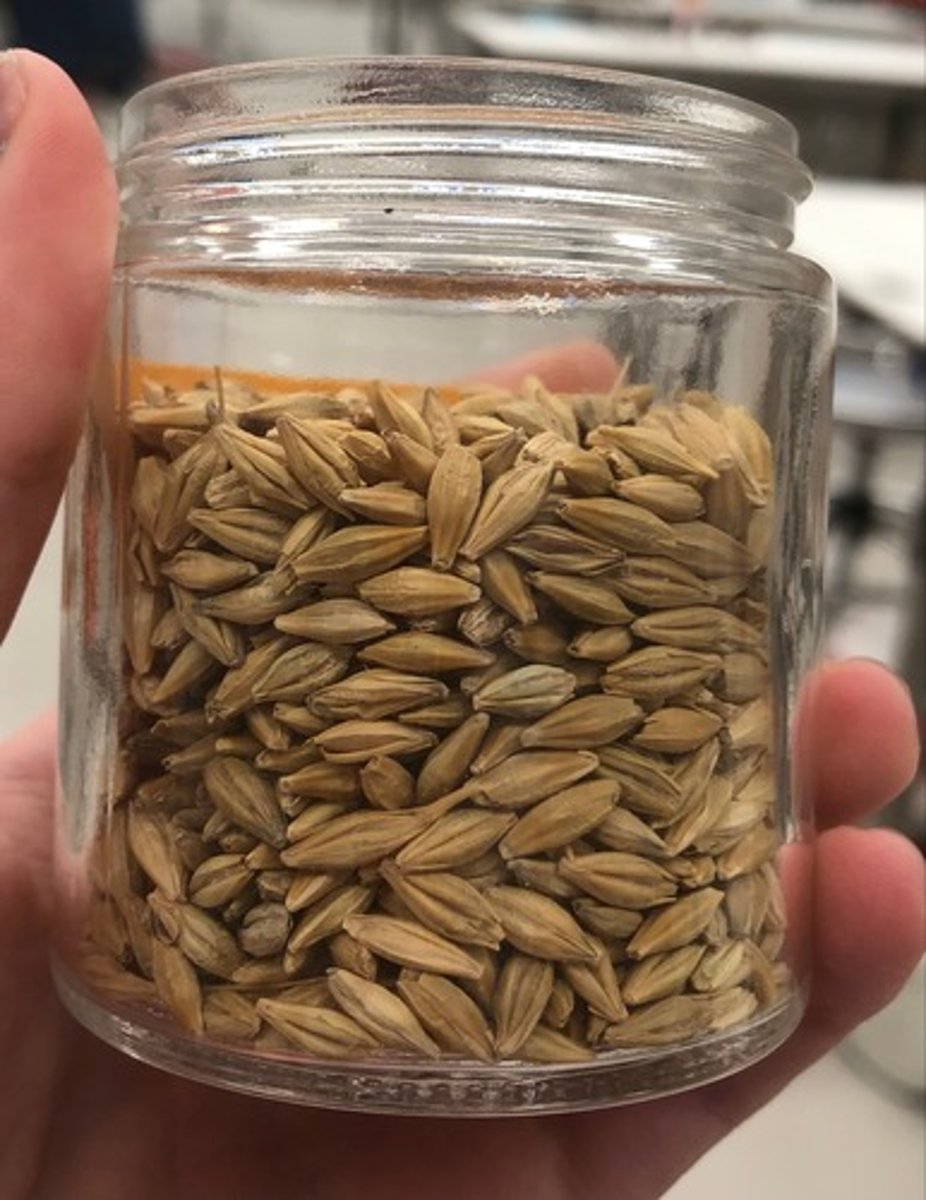 <p>- IFN #/Category (4) high energy concentrate</p><p>- AAFCO Category - grain product</p><p>- Feed Type - general</p>