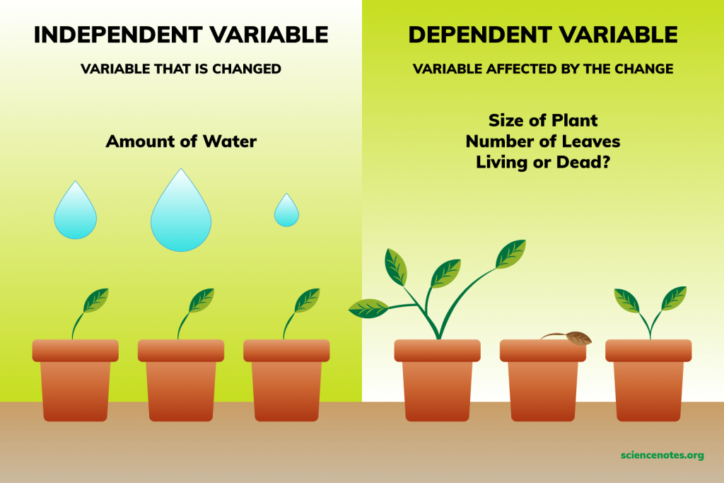 <p>independent variable</p>