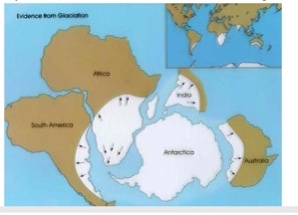 <p>Glacier evidence</p>