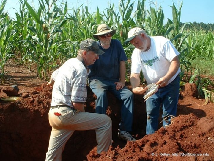 <p>One of the two main divisions in soil science. The science that deals with the influence of soils on living things, particularly plants, including human use of land for plant growth.</p>