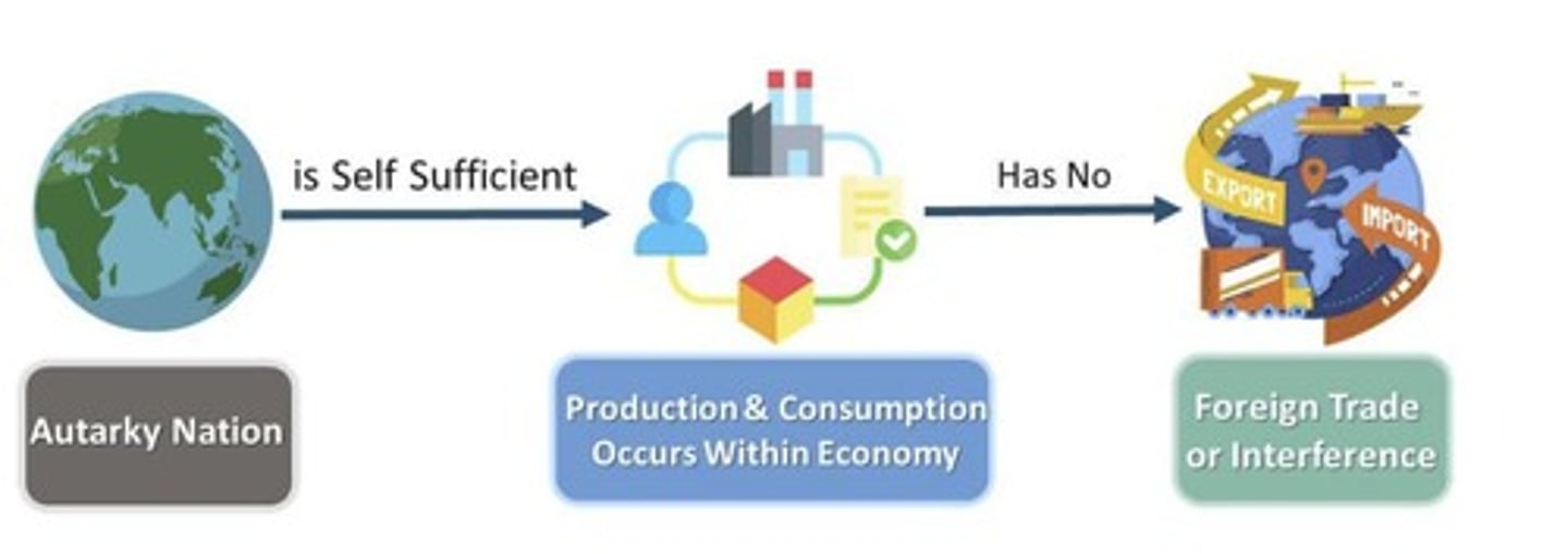 <p>A policy of self-sufficiency where a state produces everything at a lower cost than available elsewhere</p>